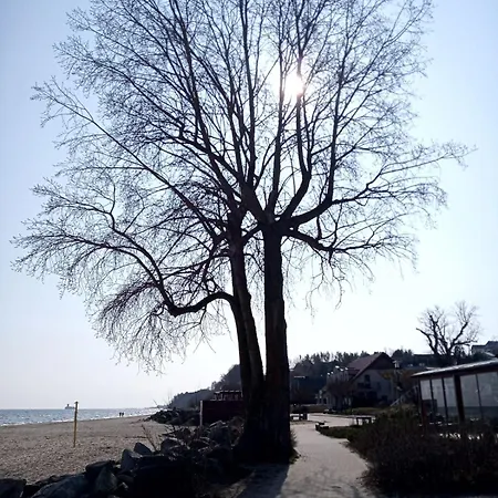 度假居 Michalina, *