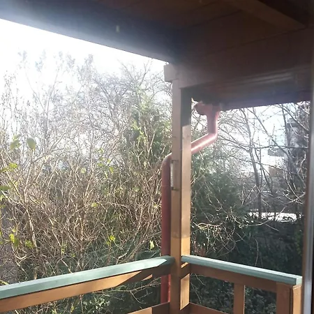 Michalina, 梅彻林基